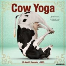 COW YOGA 2025 12 X 12 WALL CALENDAR