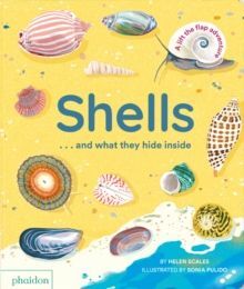 SHELLS... AND WHAT THEY HIDE INSIDE : A LIFT-THE-FLAP ADVENTURE